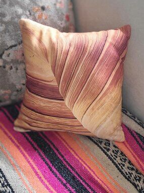 Southwest Throw Pillow - The Wave Arizona Utah Western Style - 14x14